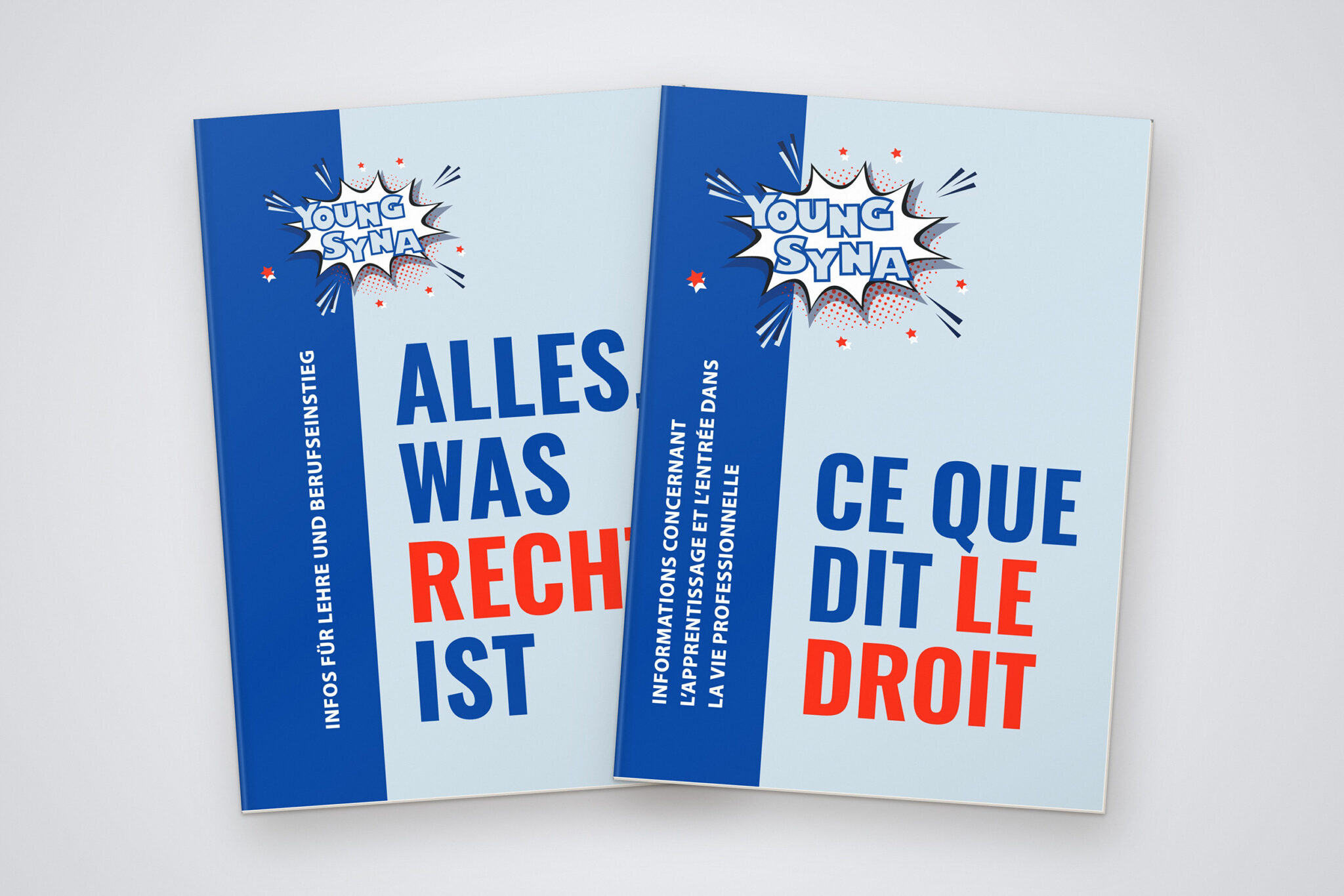 Recht in der Lehre – Broschüre & Design für Syna – die Gewerkschaft